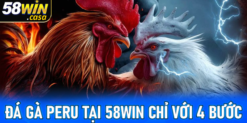 Đặt cược đá gà Peru tại 58win chỉ với 4 bước