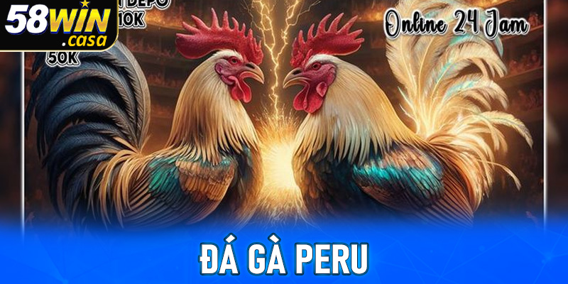 Trải nghiệm đá gà Peru cực đỉnh tại nhà cái 58win 