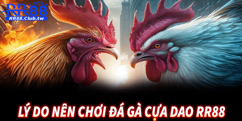 Nguồn gốc và quá trình phát triển của tựa game đá gà CPC